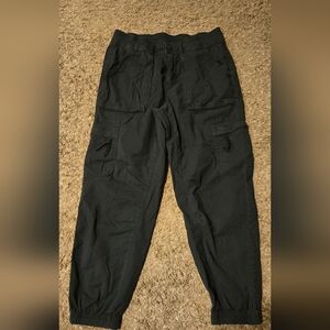 American Eagle Outfitters Dark Blue Cargo Pants